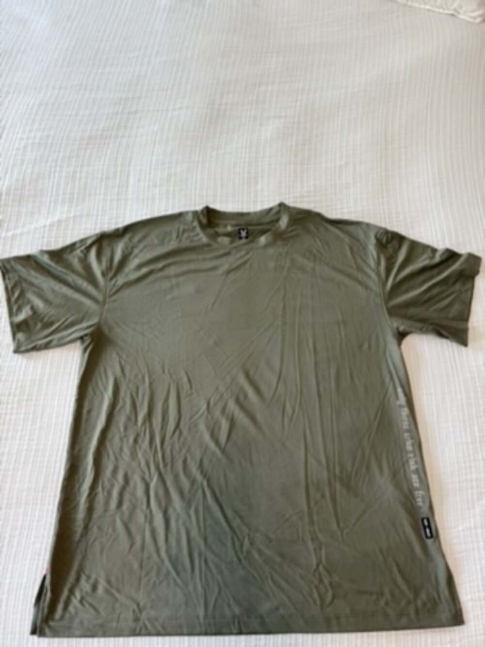 ASRV Silver-Lite 2.0 Oversized Training Tee Sage Green Men's M DSG-0822